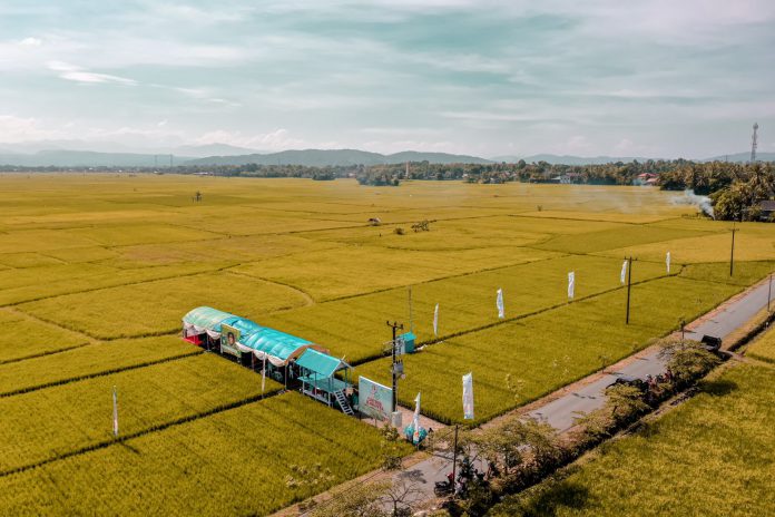 605157f0-b54c-4bdd-9928-e99bf12aa887