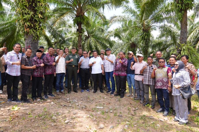 WhatsApp Image 2023-09-25 at 15.52.34