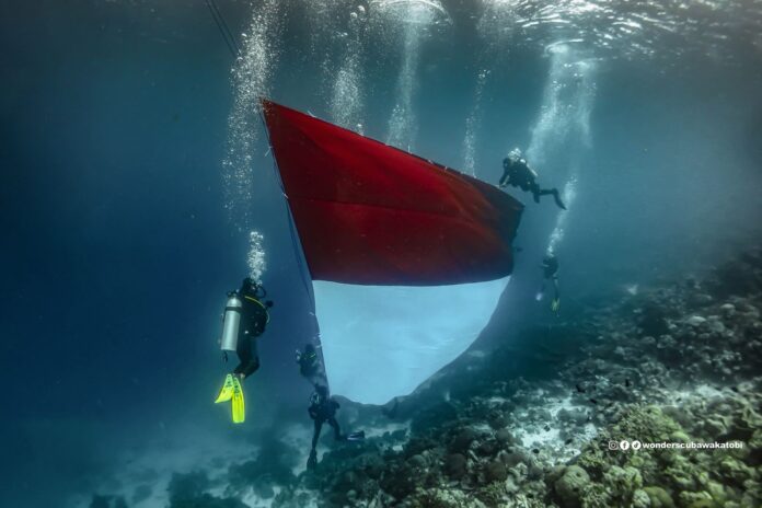 bawah laut