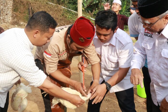praktik sembelih hewan